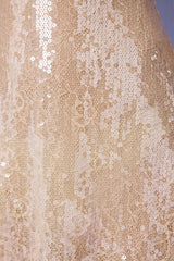 Embellished V-neck Lace Mini Dress in Pale Peach